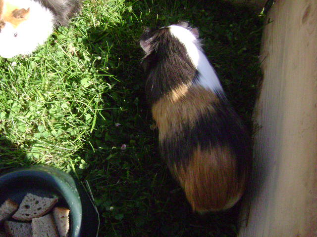 fota do 22.6.2008 133.jpg